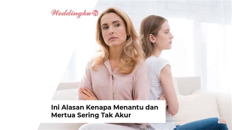 menantu vs mertua Search